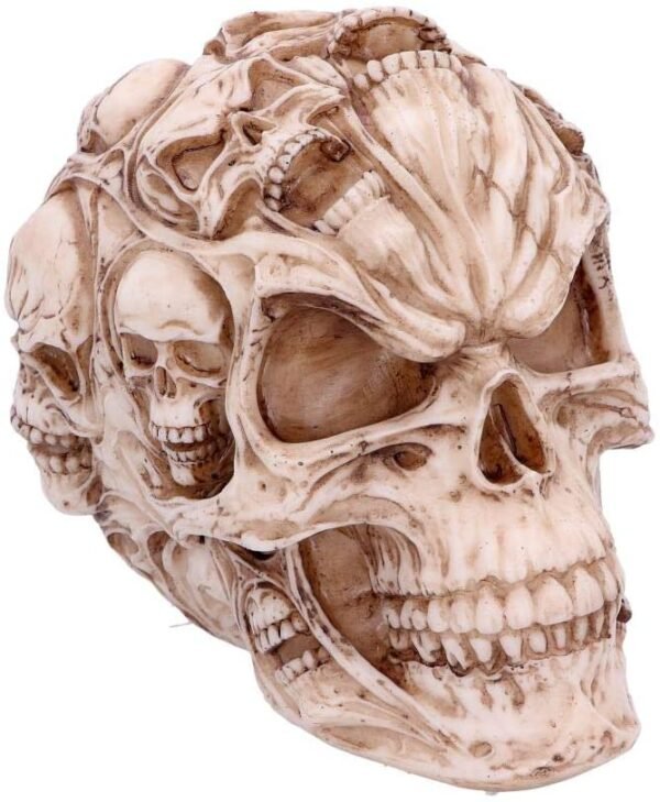 Magicun N.Giftware~Skulls James Ryman 18cm, Ivory