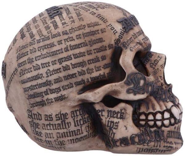 Dark Collection~B4478N9 Draculas Tale 18.5cm, Taupe, One Size