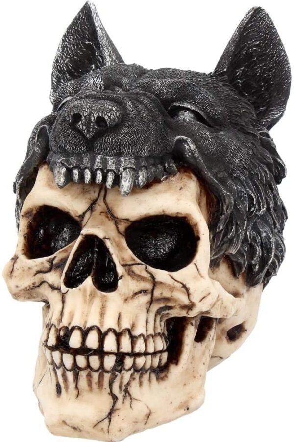 Magicun N.Giftware~Sharman Figurine 18cm