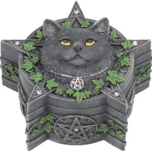 Artist Collections~ Charmed One Box Lisa Parker 14.5cm, Black, Size