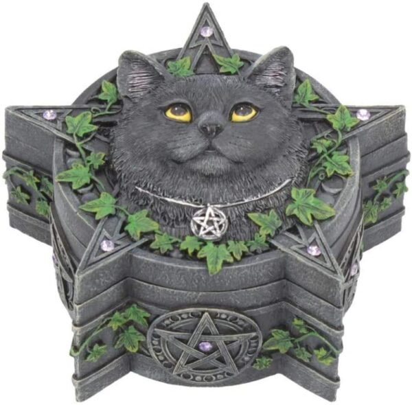 Artist Collections~ Charmed One Box Lisa Parker 14.5cm, Black, Size