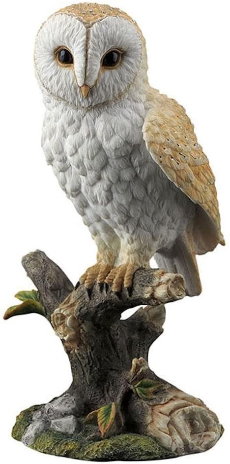 Magic  Collection~Perched Barn Owl on Branch Statue