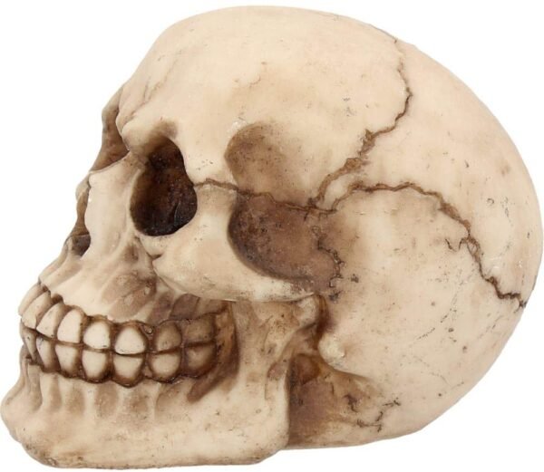 Dark Collection~Joker Figurine 11cm Ivory