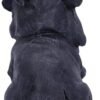 Dark Collection~Canine Cloaked Grim Reaper Dog Figurine, Polyresin, Black, 17cm