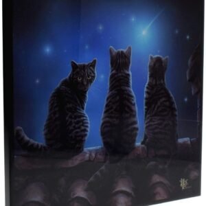 Magicun N.Giftware~Wish Upon a Star Small Crystal Clear Picture 25cm, us:one Size, Black