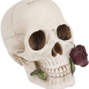 Dark Collection~Argentine Skull Money Box 18cm Ivory
