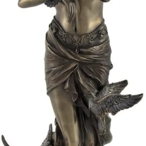 Magic  Collection~Bronzed Aphrodite with Doves on Scallop Shell Statue
