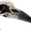 Dark Collection~Edgar's Raven Skull Figurine 25cm Ivory