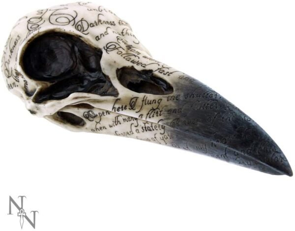 Dark Collection~Edgar's Raven Skull Figurine 25cm Ivory