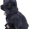 Dark Collection~Canine Cloaked Grim Reaper Dog Figurine, Polyresin, Black, 17cm