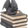 Fantasy Collection~ Secrets Of The Dragon Box 19cm Black, Resin