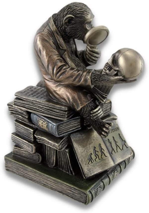 Magic  Collection~Smart Chimpanzee Scholar Trinket Box Stash Box