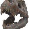 Magicun N.Giftware~Tyrannosaurus Rex Skull Freestanding Figurine 18.5cm Grey