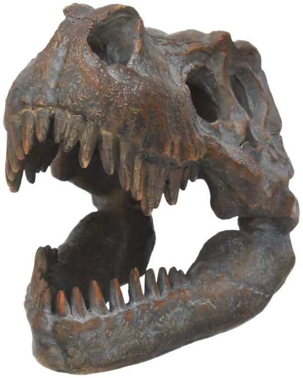 Magicun N.Giftware~Tyrannosaurus Rex Skull Freestanding Figurine 18.5cm Grey
