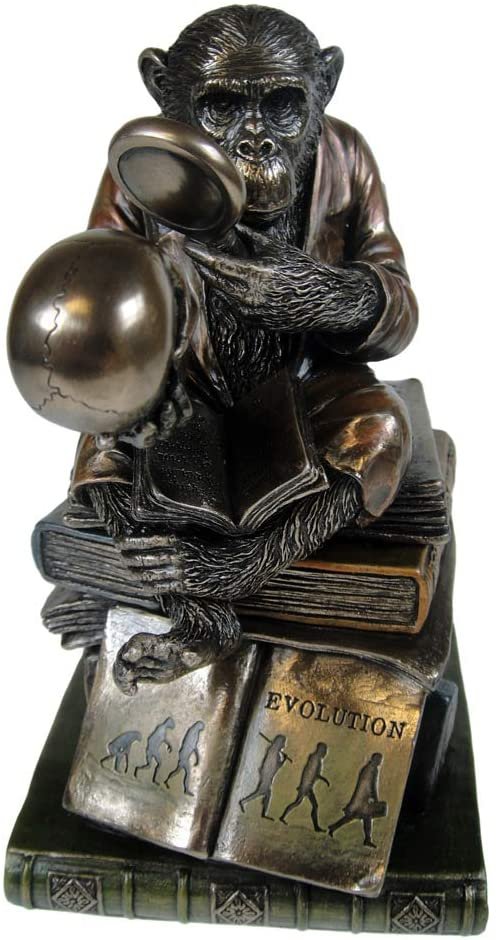 Animal Collection~ Darwinism of Evolutionary Theory Box 17.5cm Bronze, Resin