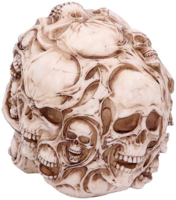 Artist Collections~ Skulls James Ryman 18cm, Ivory