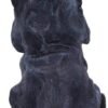 Dark Collection~Feline Cloaked Grim Reaper Cat Figurine, Polyresin, Black, 16cm