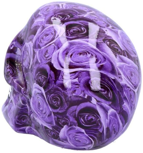 Dark Collection~Purple Romance 18cm, One Size