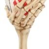 Dark Collection~Dead Man's Hand Goblet 20cm White, Resin w/stainless steel insert, One Size