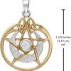 Sterling Silver 14 Carat Gold Plated Crescent Moon Pendant Pentacle with Natural White Moonstone