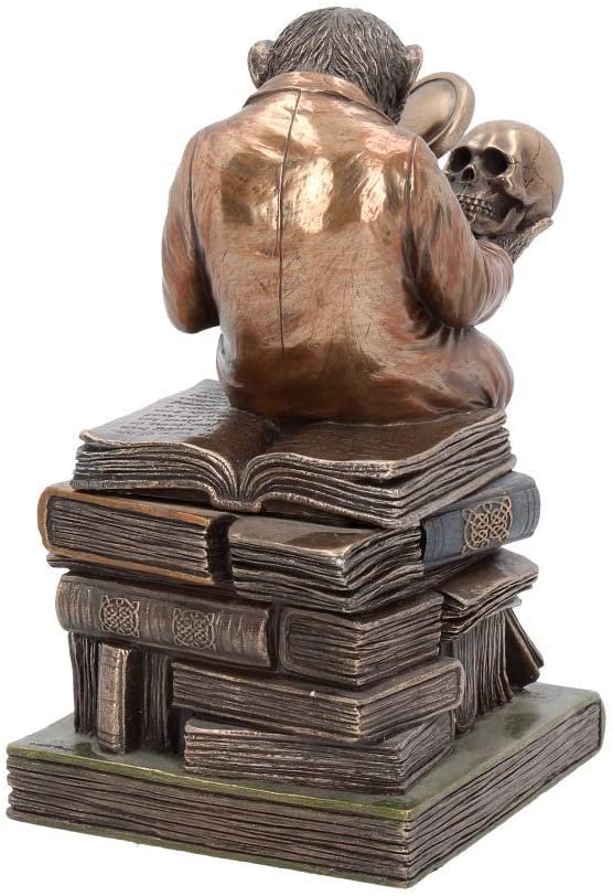 Animal Collection~ Darwinism of Evolutionary Theory Box 17.5cm Bronze, Resin