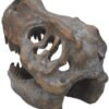 Animal Collection~ Tyrannosaurus Rex Skull Freestanding Figurine 18.5cm Grey