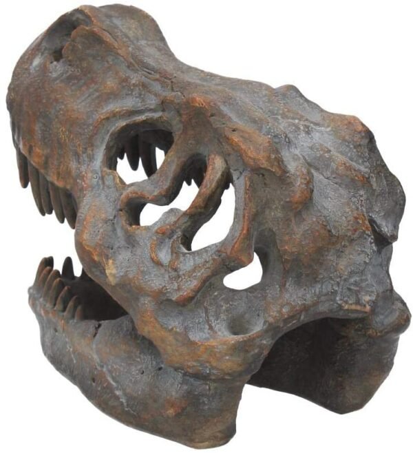 Animal Collection~ Tyrannosaurus Rex Skull Freestanding Figurine 18.5cm Grey
