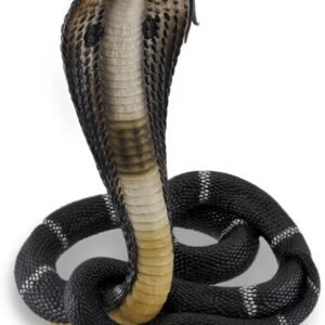 Magic  Collection~Coiled and Rearing King Cobra Sculptured Statue