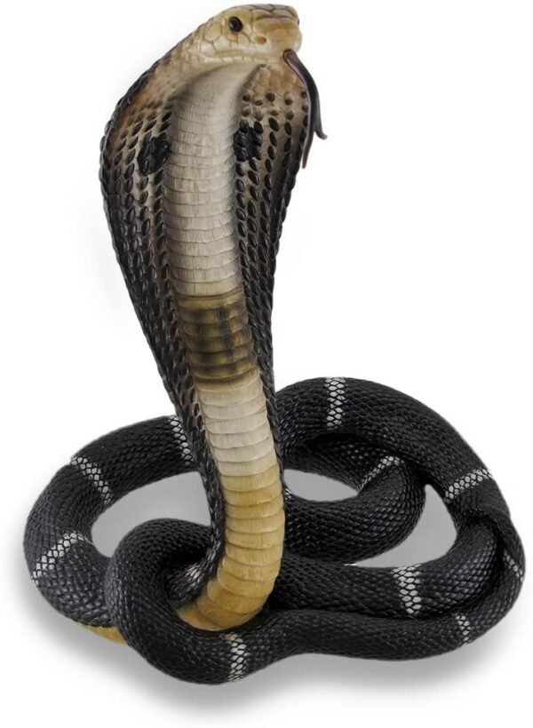 Magic  Collection~Coiled and Rearing King Cobra Sculptured Statue
