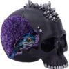 Dark Collection~Cave Small Dragon Hiding Within a Crystal Skull, Polyresin, Black, 16.5cm