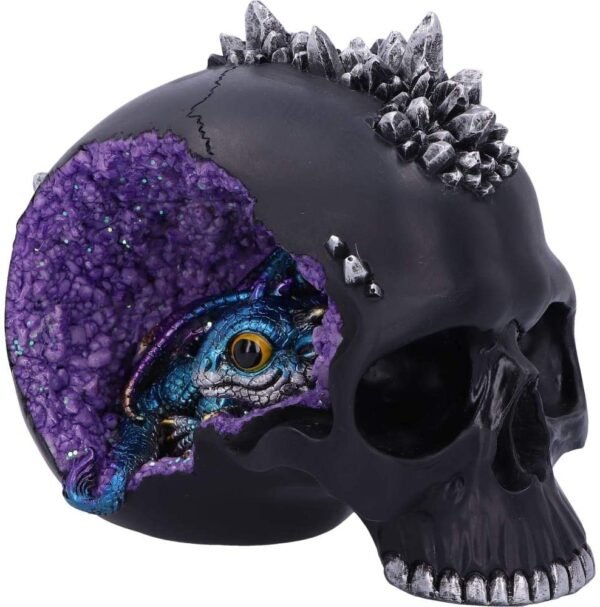 Dark Collection~Cave Small Dragon Hiding Within a Crystal Skull, Polyresin, Black, 16.5cm