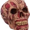 Dark Collection~D4964R0 Hoard Rotting Zombie Skull Ornament, Flesh Colour, One Size