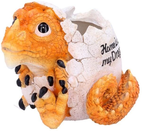Magicun N.Giftware~Home is Where My Dragon is Pot 16cm, us:one Size, Yellow
