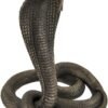 Magicun  Collection~Large Bronzed King Cobra Statue