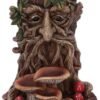 Light Collection~Wisest Dryad Tree Spirit Green Man Backflow Incense Burner, Polyresin, Brown, One Size