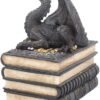 Fantasy Collection~ Secrets Of The Dragon Box 19cm Black, Resin