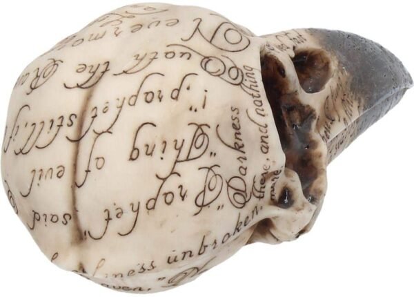 Dark Collection~Edgar's Raven Skull Figurine 25cm Ivory