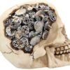 Steampunk Collection~Clockwork Cranium Figurine 15cm Ivory