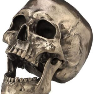 Dark Collection~Cranius Figurine 27cm Bronze