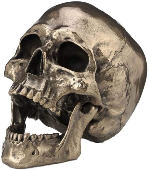 Dark Collection~Cranius Figurine 27cm Bronze