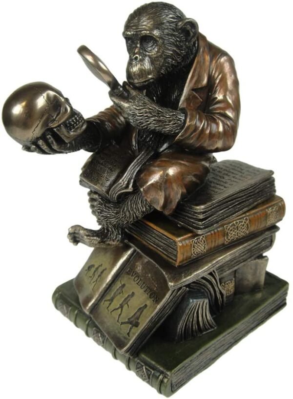 Animal Collection~ Darwinism of Evolutionary Theory Box 17.5cm Bronze, Resin