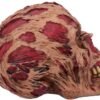 Dark Collection~D4964R0 Hoard Rotting Zombie Skull Ornament, Flesh Colour, One Size