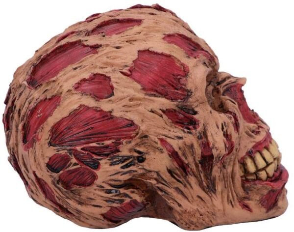 Dark Collection~D4964R0 Hoard Rotting Zombie Skull Ornament, Flesh Colour, One Size