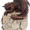 Fantasy Collection~ Draconic Craniotomy 19.6cm Box, Resin, Ivory