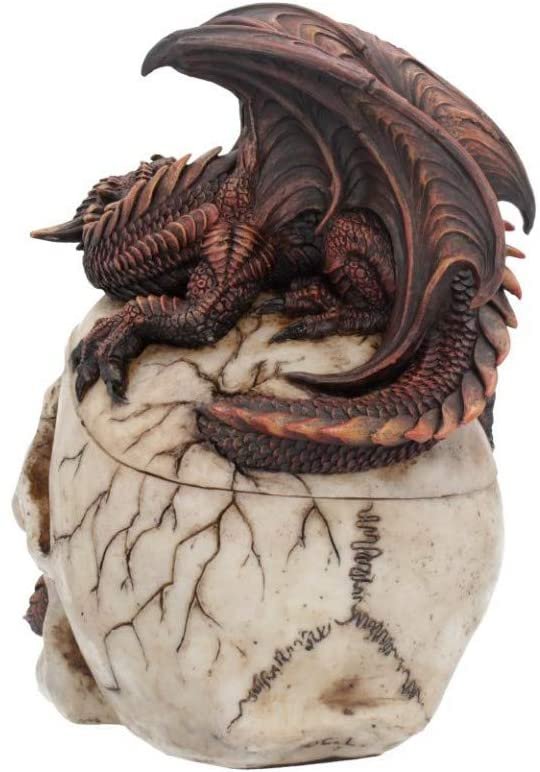 Fantasy Collection~ Draconic Craniotomy 19.6cm Box, Resin, Ivory