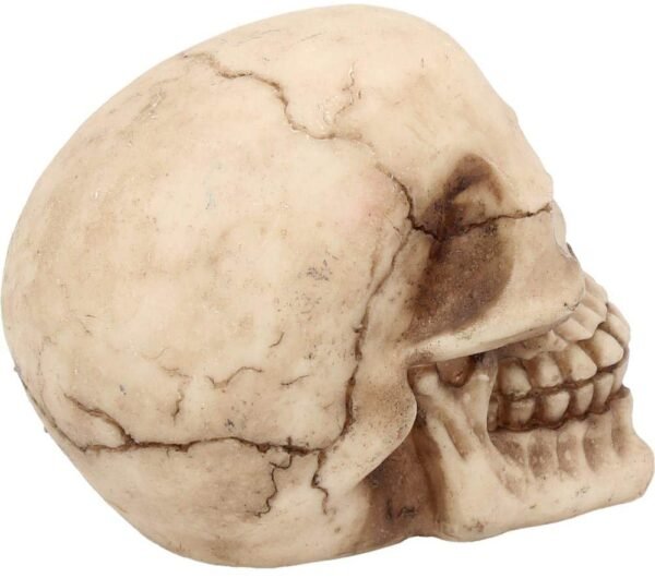 Dark Collection~Joker Figurine 11cm Ivory