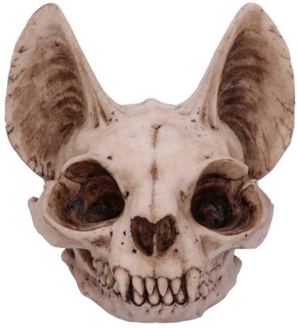 Wiccan Collection~Bastet's Secret Cat Skull Figurine Ornament, Natural Bone Colour, One Size