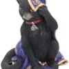 Wiccan Collection~NEM2775 Jinx Figurine 15cm Black