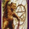 Sensual Wicca Tarot Card Deck: A Wiccan Vision of the World of Sexuality!