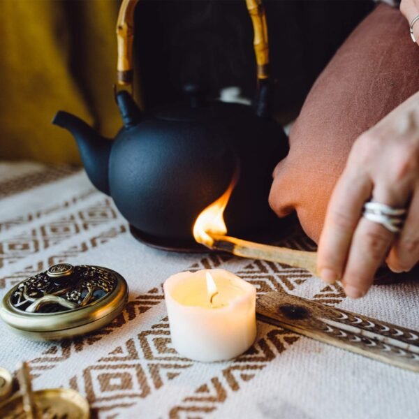 Witchcraft~Premium Palo Santo Holy Wood Incense Sticks, for Purifying, Cleansing, Healing, Meditating, Stress Relief. 100% Natural and Sustainable, Wild Harvested. (6)